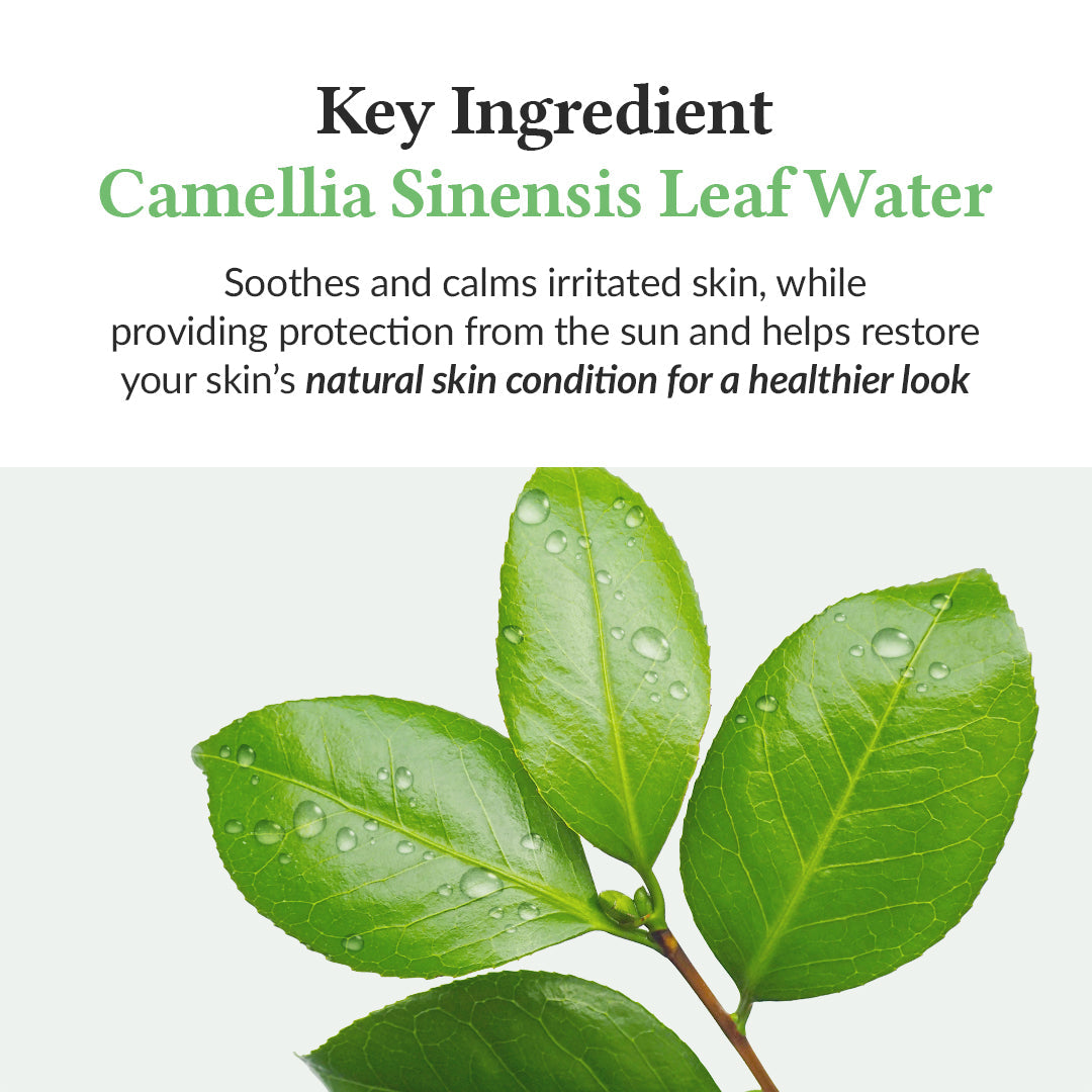Dr. Althea Green Tea Fresh Sunscreen aplicación — dos dedos de producto 15 minutos antes del sol