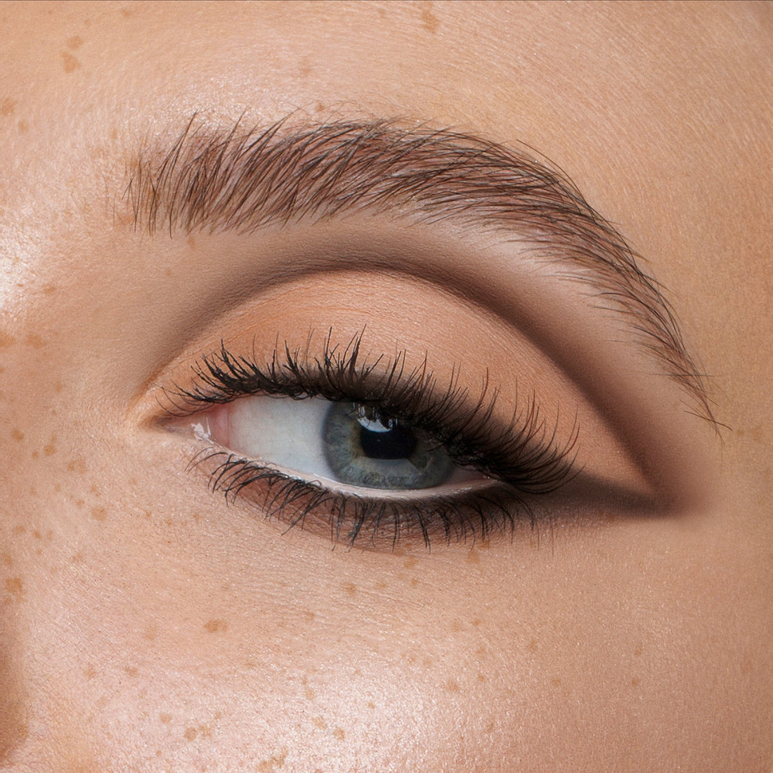Artist Couture Supreme Nudes look completo aplicado en ojos